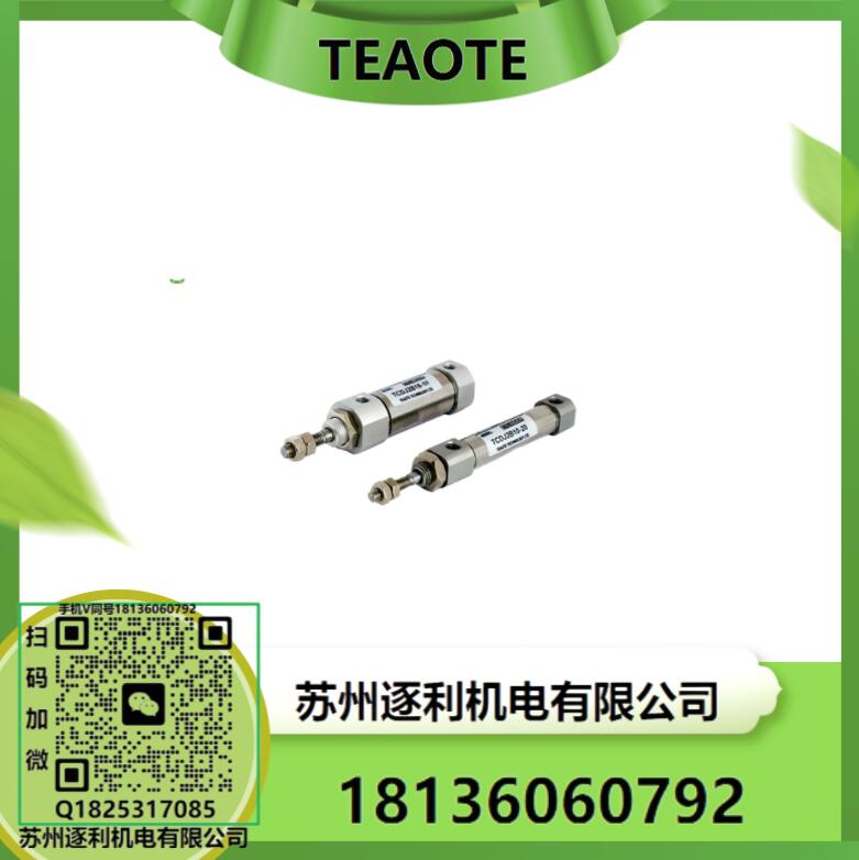 TEAOTE气缸TEAOTE TECHNOLOGY LTD标准气缸