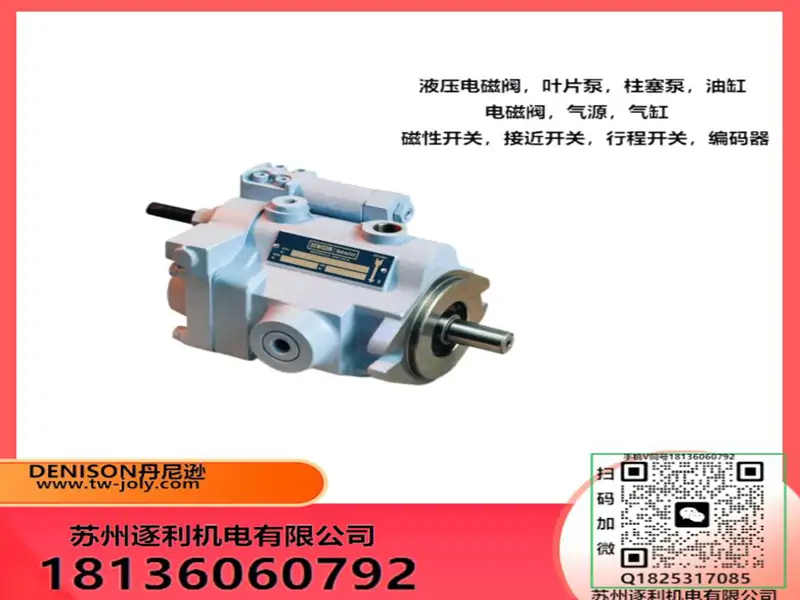 DENISON液压泵定量叶片泵4525V75A12-1AA22R丹尼逊双联变量油泵