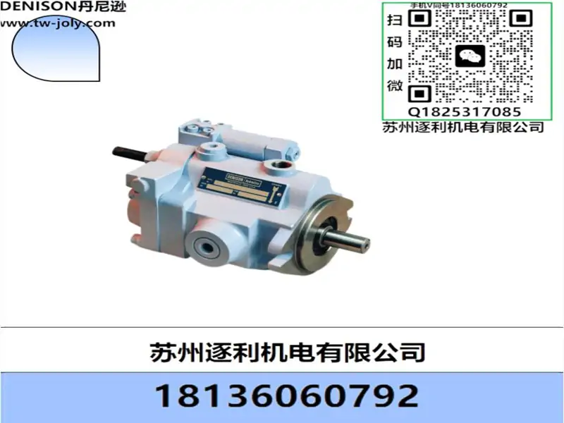 DENISON叶片泵丹尼逊液压泵T6CC 020 010 1R00 C100油泵