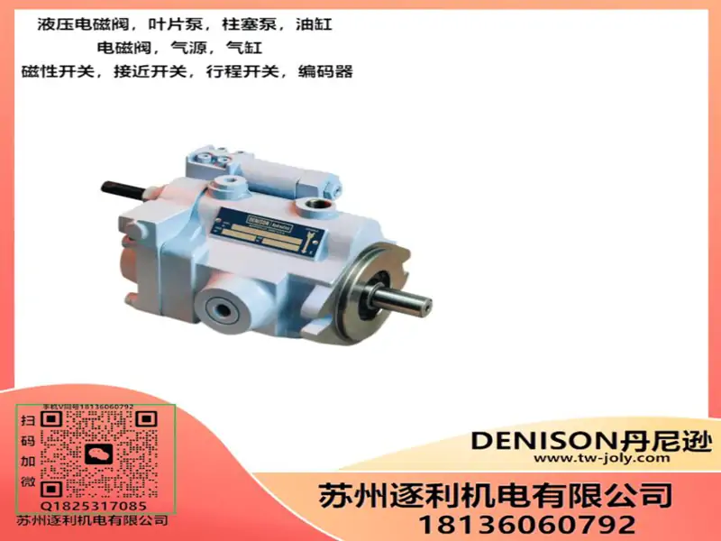 DENISON丹尼逊T6E-042/062/066-1L00/1L01/1L02/1L03-A1/B1油泵