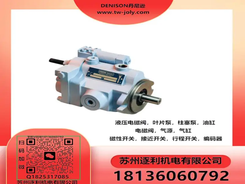 DENISON丹尼逊 单联泵 T6C-028-1R01-1B T6C/T6D/T7B/T6E液压油泵