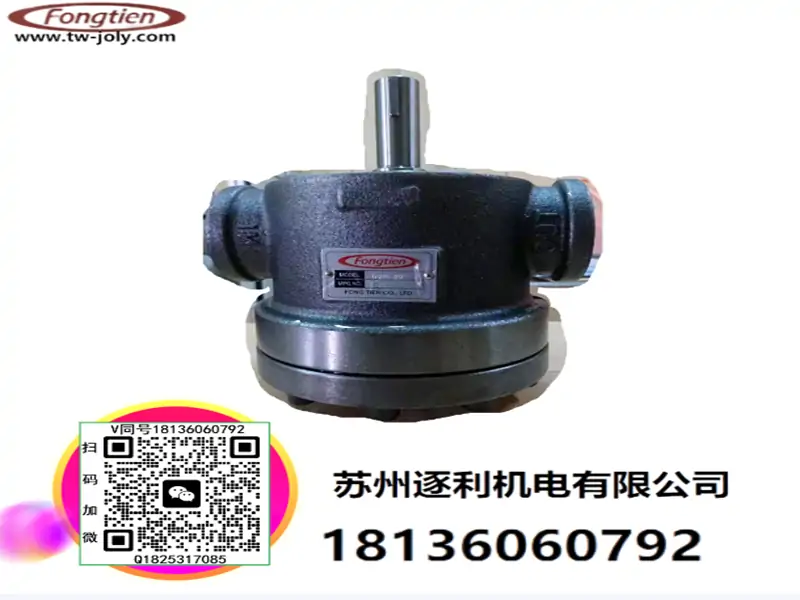 FONGTIEN丰田高压泵，DVS-3V/2V/4V/5V/6V变量叶片泵