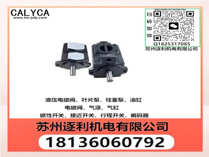 凯利嘉CALYCA柱塞泵V18A1R-10X V23A3R-10X V25A2R-10X