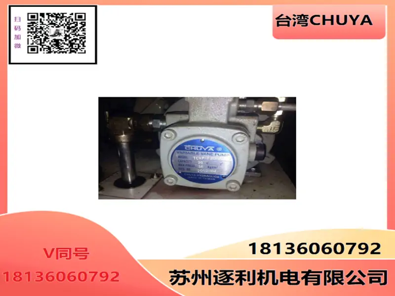 CHUYA叶片泵TCVP-F40-A1-M-10C液压泵TCVP-F40-A2-M-10C