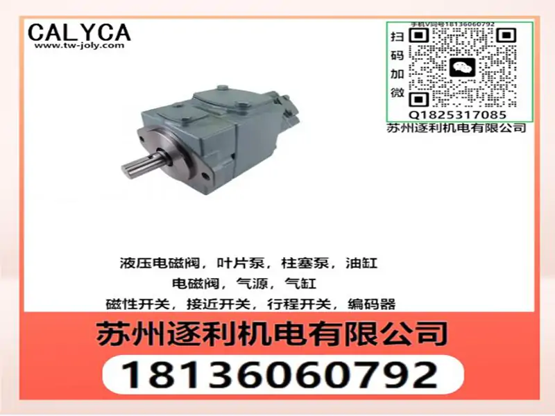 CALYCA凯利嘉柱塞泵PV16-A3-R-M-I-A PV20-A3-R-M-I-A