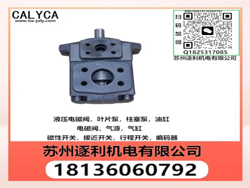 CALYCA凯利嘉叶片泵 PV2R1-31-FR VQ15-11-FRLA-01油泵