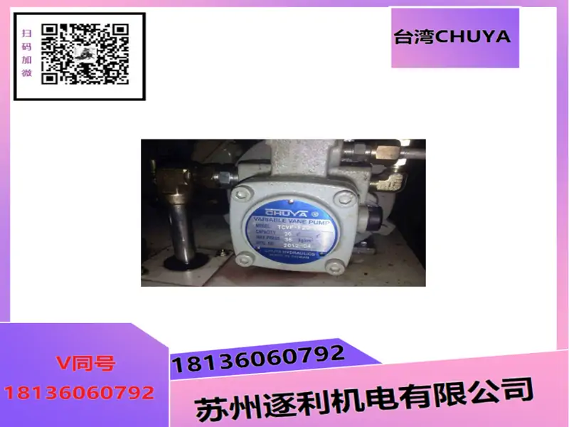 PP46-A3-F-R-2A+P16-A3-S,CHUYA柱塞泵PP70-A3-F-R-2A+P08-A3-S