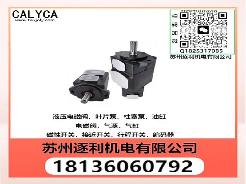 CALYCA凯利嘉电磁阀DSB-02-2B2-A220 DSB-02-2B12B-A220