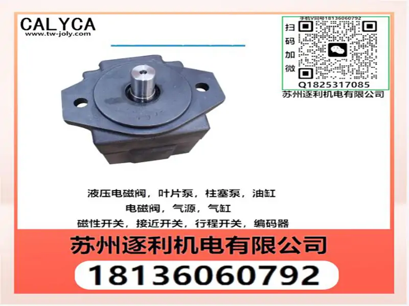 CALYCA凯利嘉叶片泵SPVQ2A-7H4D-FR-02 SPVQ2A-8A4E-FE-02