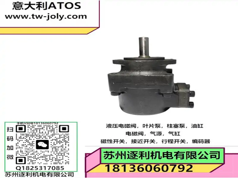 ATOS阿托斯定量叶片泵PFE-31010/1DT PFE-41029 PFE-51090液压泵