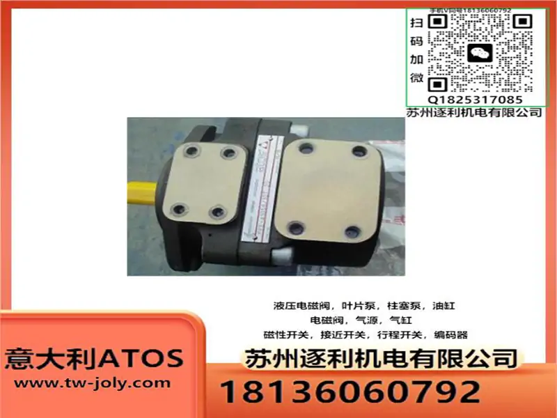 PFE-31016/22/28/36/44/1DT/DV/DW/DU 20 阿托斯叶片泵/Atos油泵