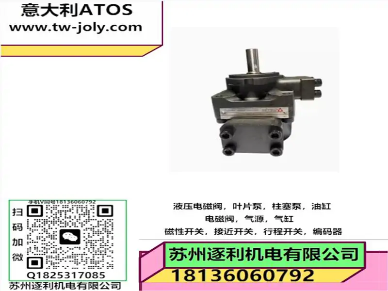 ATOS柱销式液压叶片泵PFE-51090 110 129 150-1DT压机塑机泵阿托斯