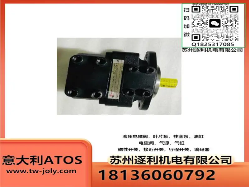意大利ATOS阿托斯叶片泵PFE-31016/22/28/36/44/1DT/U/V/W 20油泵