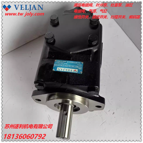 VELJAN维京电动叶片泵VT6E-062/45/42/72/66-1L00-A1液压油泵R123