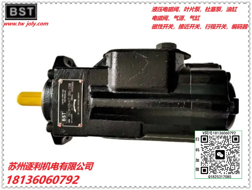 BST泵头T6C叶片泵T6E油泵T6D-017/38/45/50/66-1R/2R船用泵