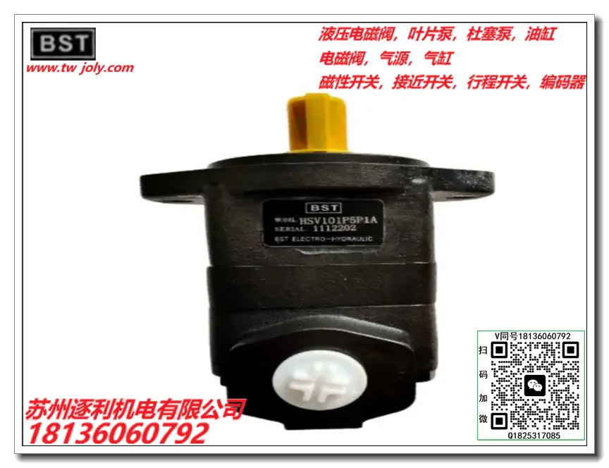 BST高压齿轮泵SV2-100-R02-C1 变量式叶片泵，油泵电机
