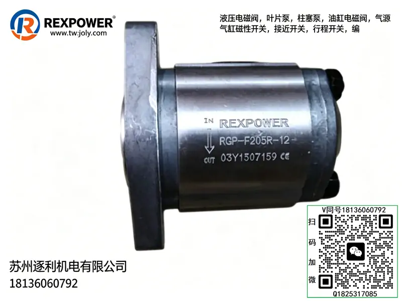 锐力液压泵REXPOWER齿轮泵RGPD-F32 RGP-F1/F2/F3/F4 SGP