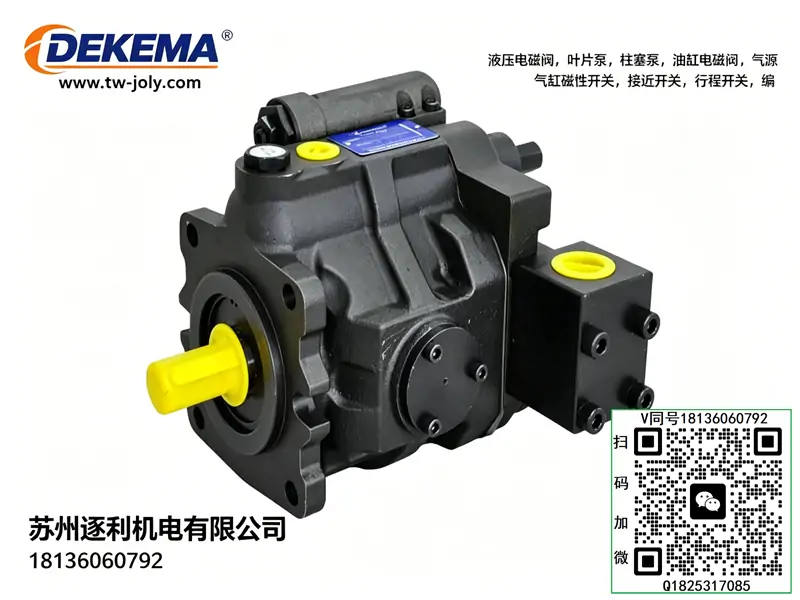 DEKEMA德克玛变量油泵，小型液压油泵总成，双联高压叶片泵