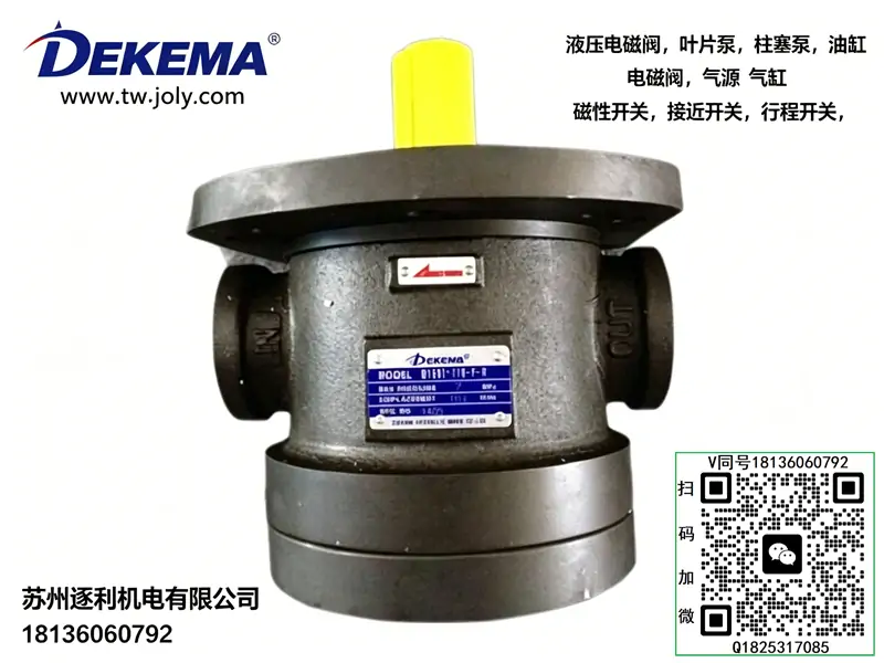 DEKEMA油泵50T-07-F,50T-12-L-R,50T-14/17/23/26/30/36/39/43-F