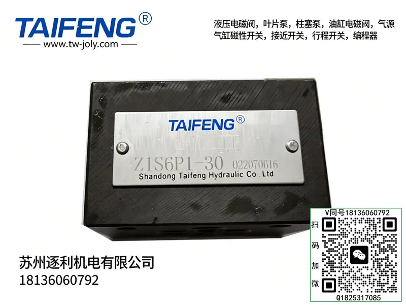 TAIFENG TFA2FM045 轴向柱塞马达 起重设备专用高压液压马达