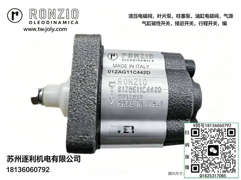 意大利 RONZIO 03ZAG50Q065AD 液压齿轮泵 03Z 系列高压油泵