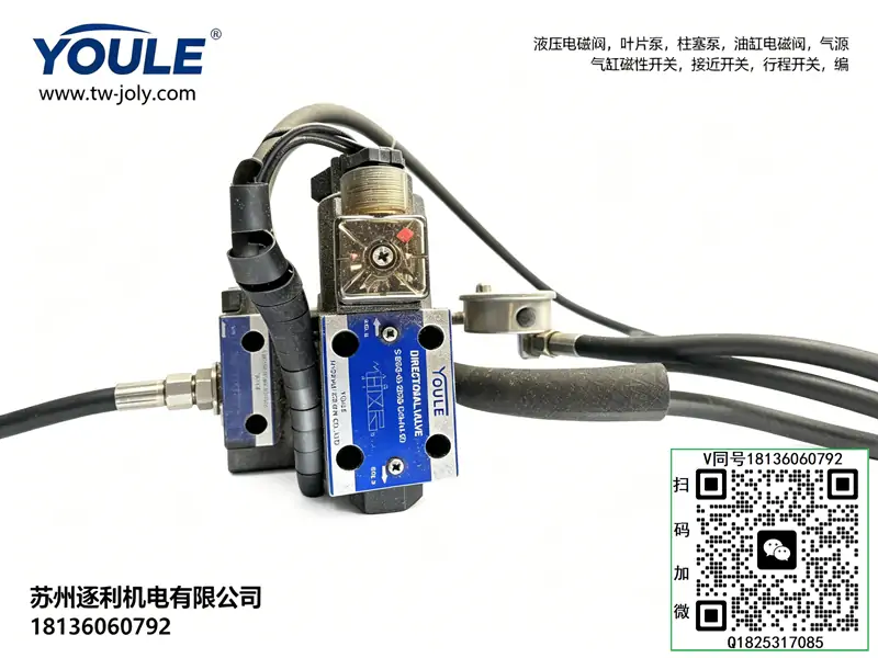 YOULE油立先导式溢流阀 BG-03 RVG-03 BG-06 RVG-06 电磁阀