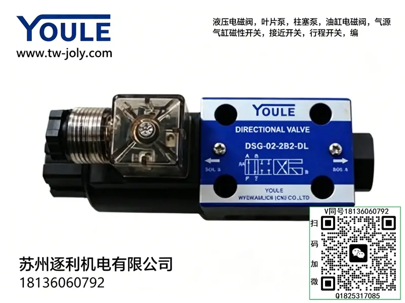 YOULE油立电磁溢流阀BSG-03-2B3B BSG-06-2B3B 电磁阀