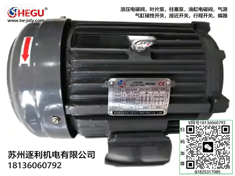 HEGU油泵电机C07-43BO 7.5HP 5.5KW C01-43BO C02-43BO C03-43BO电动机