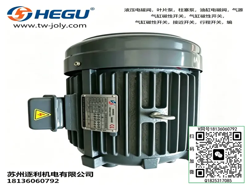 HEGU MOTOR CO,LTD油泵电机 油压马达 HOTO液压油泵