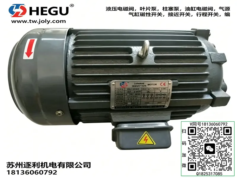 HEGU电动机TYPE:C01-43BO 1HP 0.75KW 电机泵组