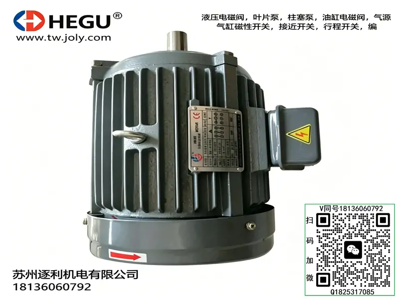 HG电动机 HEGU油泵电机 C01-43BO C02-43B0 C03-43B0 C05-43B0 C10