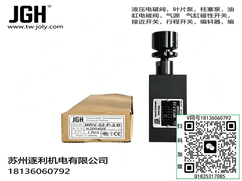 久冈JGH远程控制溢流阀DG/DT-01/02-1/2/3-30-31-32 DT-02-A