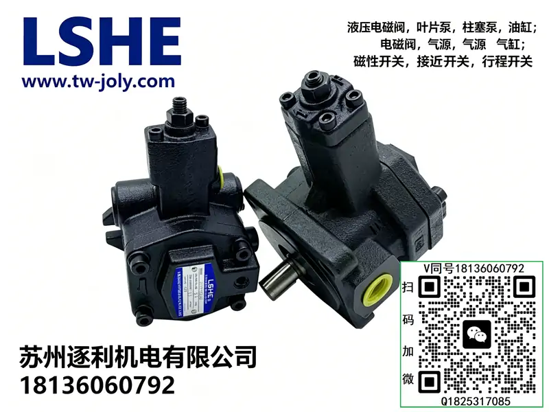 LSVPDF-2012-A1-12液压泵LSHE双联油泵LISHENG液压站电机