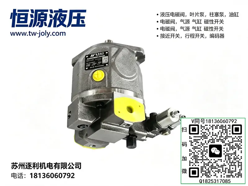 HENGYUAN 恒源 HY80Y-LP 柱塞泵 废料打包机液压动力油泵 左旋右旋规格齐全